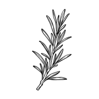 Aromatique