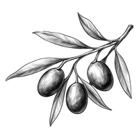 Cuisine Méditerranéenne