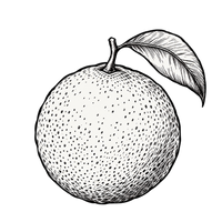 Fruité